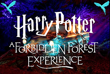 Harry Potter: A Forbidden Forest Experience Locations and Ticket Pricing 2025